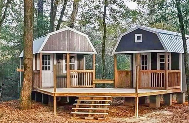 The ‘We-Shed’ Is a Dual Shed For Him and Her In Alliance