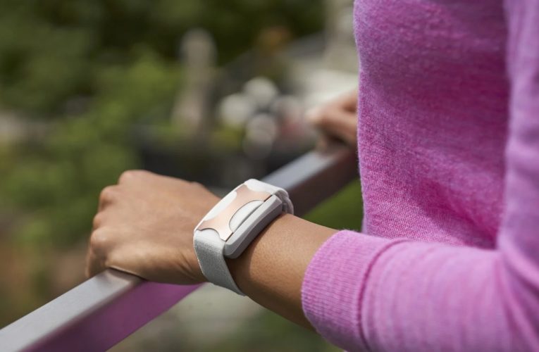 Alliance: Can a Wearable Device Reduce Stress?